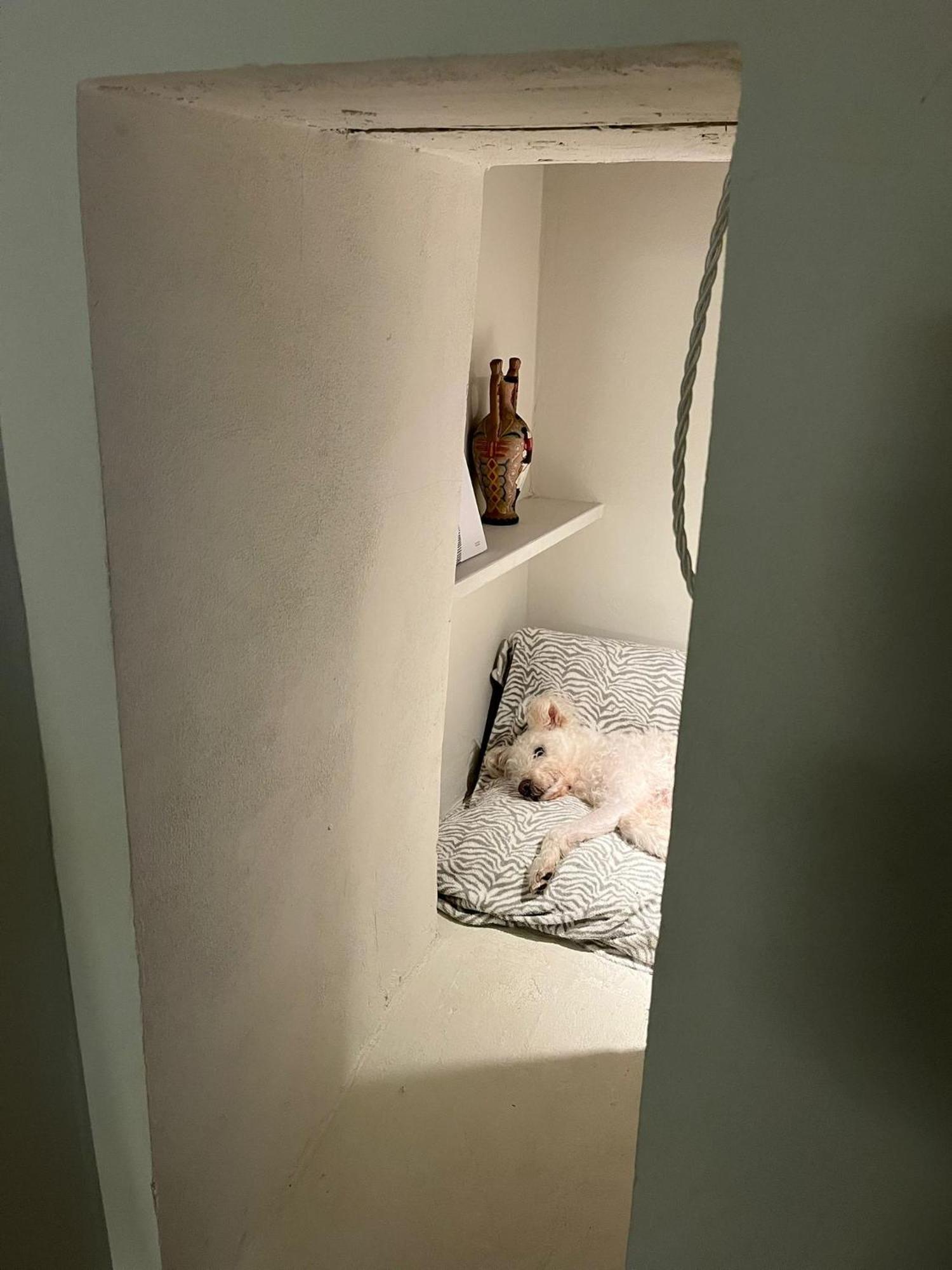M.Sommer House Pistoia Esterno foto